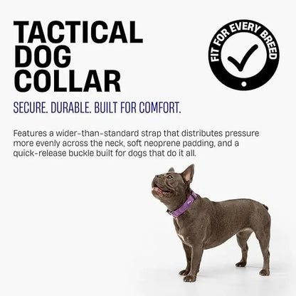 Tactical Dog Collar by Dog Friendly Co. - Reflective, Quick-Release Buckle, Neoprene-Lined Chafe-Resistant Pad, Comfortable Fit, Metal D-Ring, Waterproof Webbing, Adjustable for Neck Sizes XS-28 Inches, Durable Construction