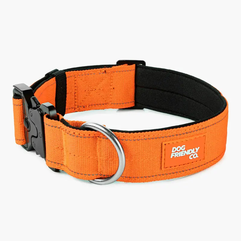 Tactical Dog Collar by Dog Friendly Co. - Reflective, Quick-Release Buckle, Neoprene-Lined Chafe-Resistant Pad, Comfortable Fit, Metal D-Ring, Waterproof Webbing, Adjustable for Neck Sizes XS-28 Inches, Durable Construction