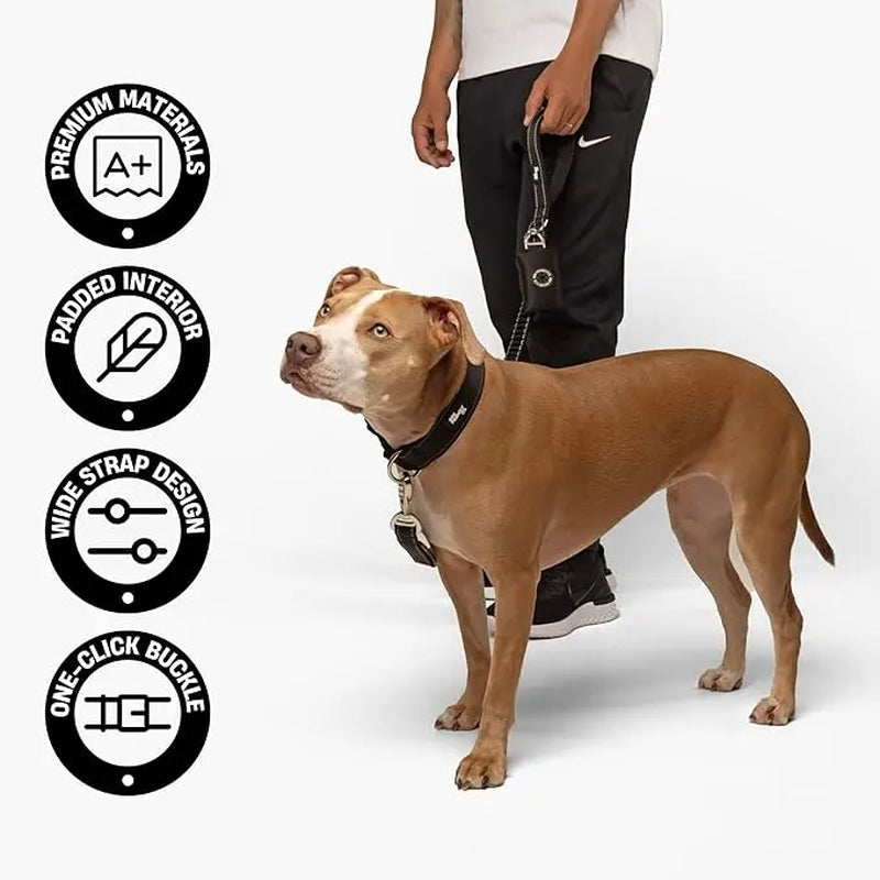 Tactical Dog Collar by Dog Friendly Co. - Reflective, Quick-Release Buckle, Neoprene-Lined Chafe-Resistant Pad, Comfortable Fit, Metal D-Ring, Waterproof Webbing, Adjustable for Neck Sizes XS-28 Inches, Durable Construction