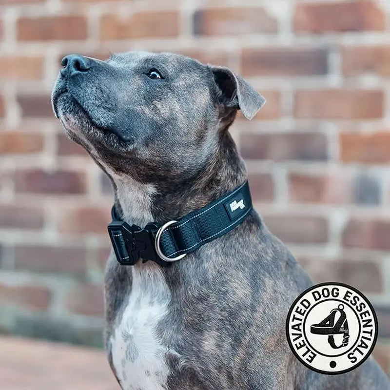 Tactical Dog Collar by Dog Friendly Co. - Reflective, Quick-Release Buckle, Neoprene-Lined Chafe-Resistant Pad, Comfortable Fit, Metal D-Ring, Waterproof Webbing, Adjustable for Neck Sizes XS-28 Inches, Durable Construction