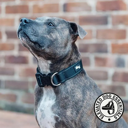Tactical Dog Collar by Dog Friendly Co. - Reflective, Quick-Release Buckle, Neoprene-Lined Chafe-Resistant Pad, Comfortable Fit, Metal D-Ring, Waterproof Webbing, Adjustable for Neck Sizes XS-28 Inches, Durable Construction