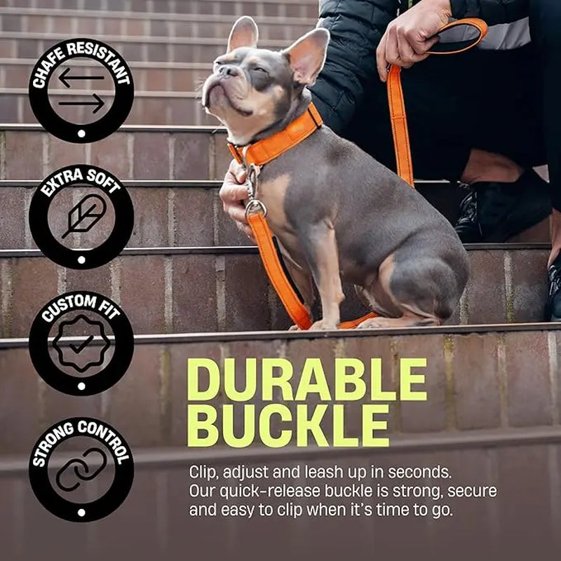 Tactical Dog Collar by Dog Friendly Co. - Reflective, Quick-Release Buckle, Neoprene-Lined Chafe-Resistant Pad, Comfortable Fit, Metal D-Ring, Waterproof Webbing, Adjustable for Neck Sizes XS-28 Inches, Durable Construction