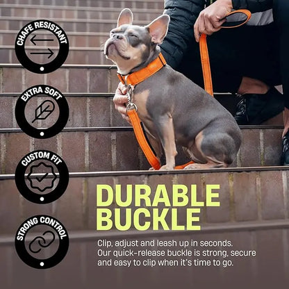 Tactical Dog Collar by Dog Friendly Co. - Reflective, Quick-Release Buckle, Neoprene-Lined Chafe-Resistant Pad, Comfortable Fit, Metal D-Ring, Waterproof Webbing, Adjustable for Neck Sizes XS-28 Inches, Durable Construction