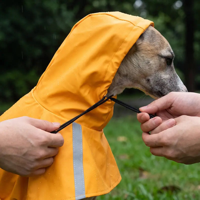 Waterproof Reflective PU Fabric Raincoat for Small to Medium Dogs - Outdoor Pet Apparel with Dry Protection, Reflective Strips, Adjustable Hood, Harness Opening, Treat Pocket, and Chest Strap